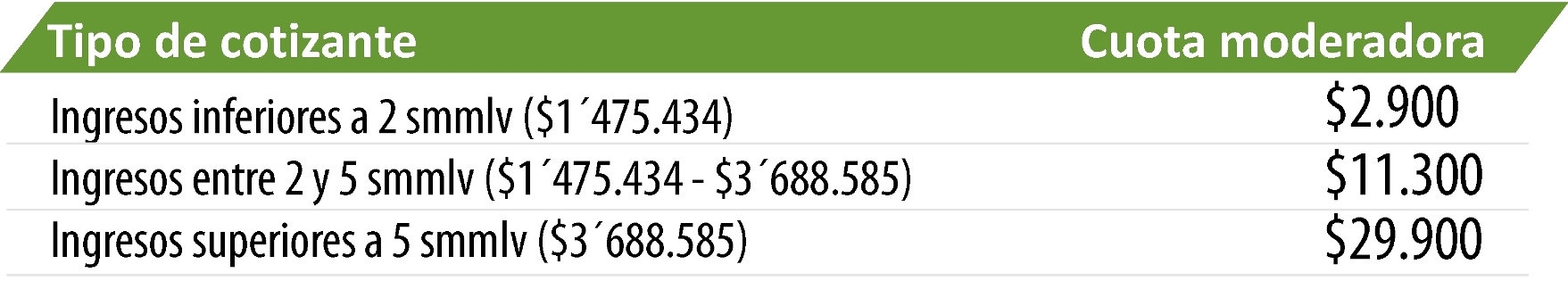 actualización - copia 2